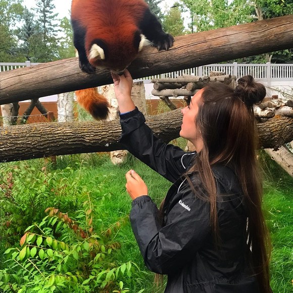 Meet your Posher, Amy - Picture 1 of 1